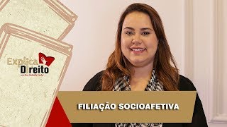 Explica Direito Filiação Socioafetiva  2019 [upl. by Akinahc]